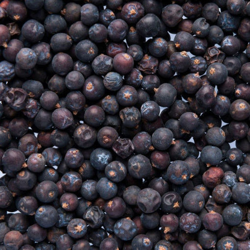 Afbeeldingen van Regional Jeneverbes 45gr. - Botanical