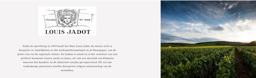 Afbeeldingen van LOUIS JADOT BOUZERON 2022