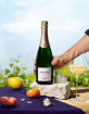 Afbeeldingen van LALLIER BRUT REFLEXION R.019 CHAMPAGNE