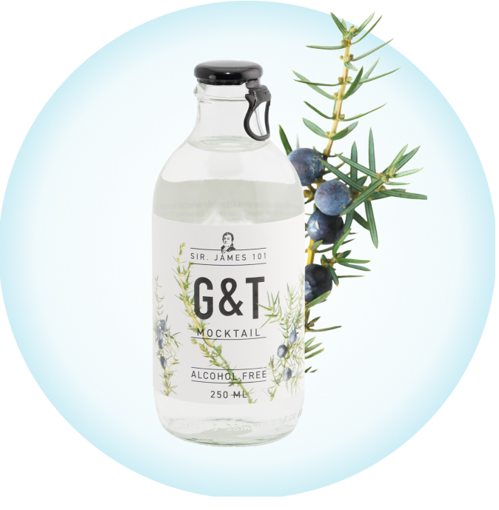 Afbeeldingen van SIR JAMES  101 GIN & TONIC 0° 25CL