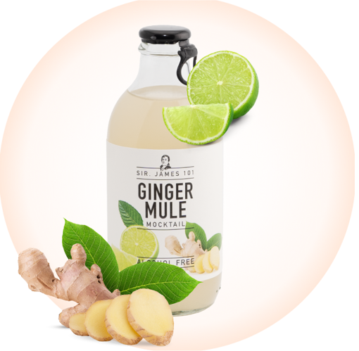 Afbeeldingen van SIR JAMES 101 GINGER MULE 25CL