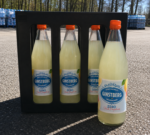 Afbeeldingen van GINSTBERG SLANK POMPELMOES 6X1L